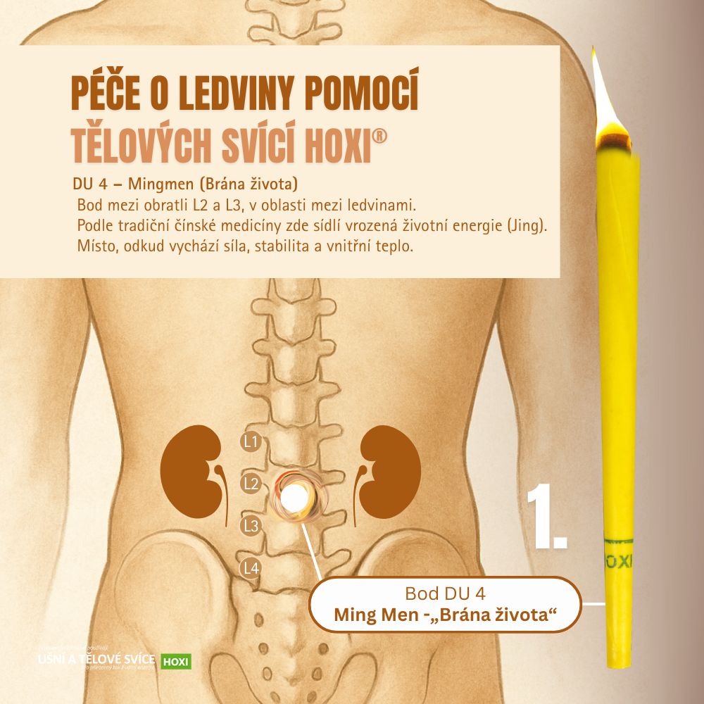 Aplikace tělové svíce HOXI na ledviny Ukázka aplikace tělové svíce HOXI® v oblasti Ming Men – péče o ledviny